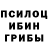 Псилоцибиновые грибы ЛСД Roba Incet