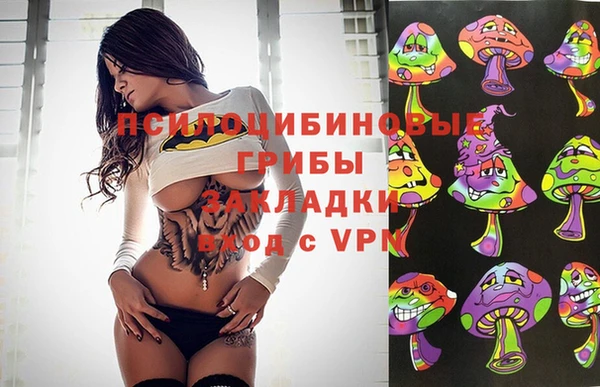 стафф Заволжск